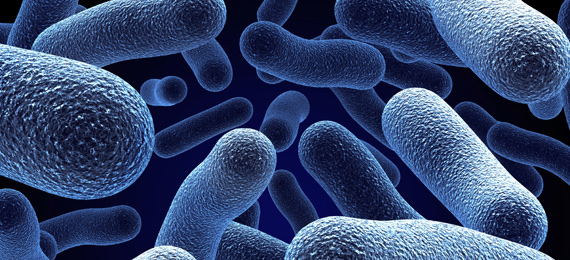 یک اطلس رنگي از میکروبیولوژی